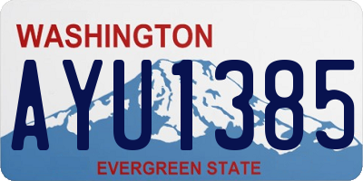 WA license plate AYU1385