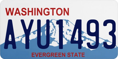 WA license plate AYU1493