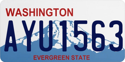 WA license plate AYU1563