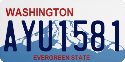 WA license plate AYU1581