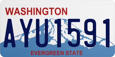 WA license plate AYU1591