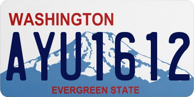 WA license plate AYU1612