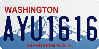 WA license plate AYU1616