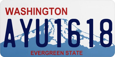 WA license plate AYU1618
