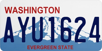 WA license plate AYU1624