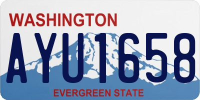WA license plate AYU1658