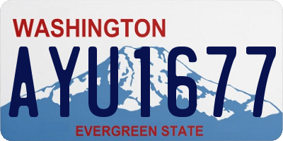 WA license plate AYU1677