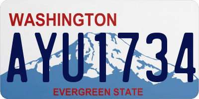 WA license plate AYU1734