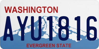 WA license plate AYU1816