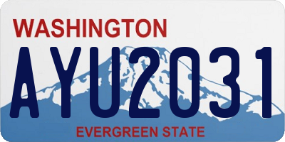 WA license plate AYU2031