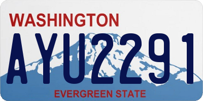 WA license plate AYU2291
