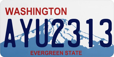 WA license plate AYU2313