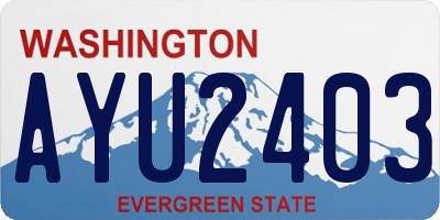 WA license plate AYU2403