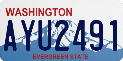 WA license plate AYU2491