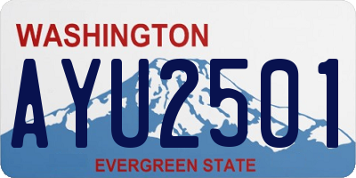 WA license plate AYU2501