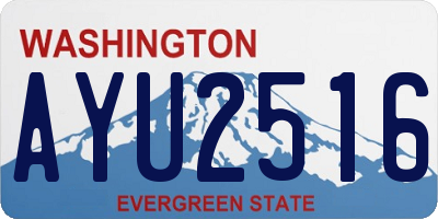 WA license plate AYU2516