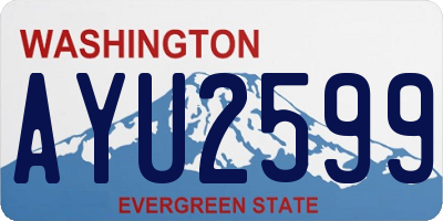 WA license plate AYU2599
