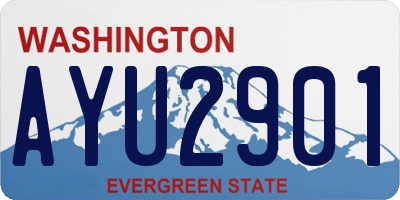 WA license plate AYU2901