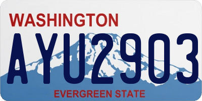 WA license plate AYU2903