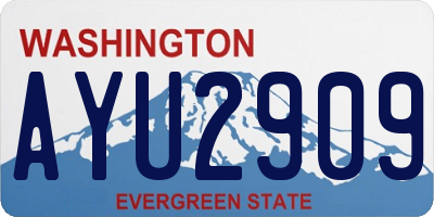 WA license plate AYU2909