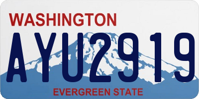 WA license plate AYU2919