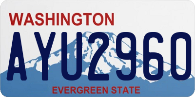 WA license plate AYU2960
