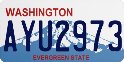WA license plate AYU2973