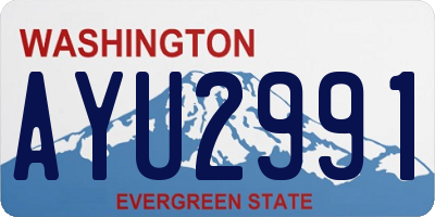WA license plate AYU2991