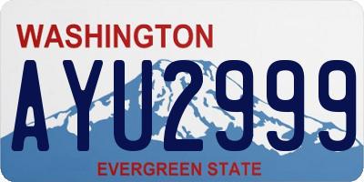 WA license plate AYU2999
