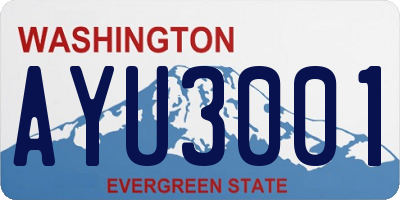 WA license plate AYU3001