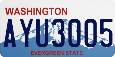 WA license plate AYU3005
