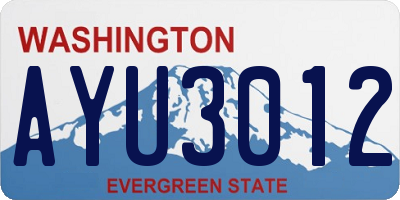 WA license plate AYU3012