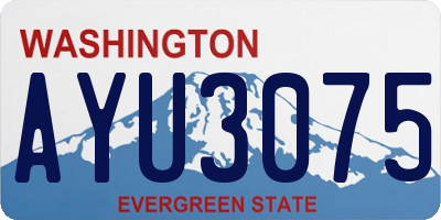 WA license plate AYU3075