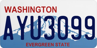 WA license plate AYU3099