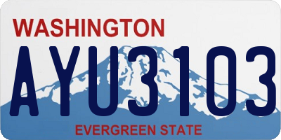 WA license plate AYU3103