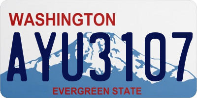 WA license plate AYU3107
