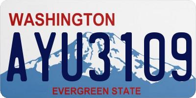 WA license plate AYU3109