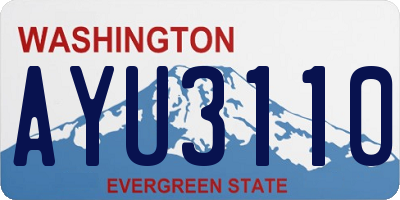 WA license plate AYU3110