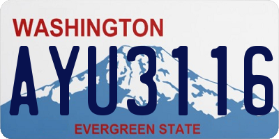 WA license plate AYU3116