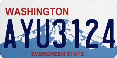 WA license plate AYU3124