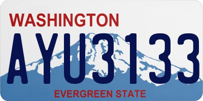 WA license plate AYU3133