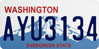 WA license plate AYU3134