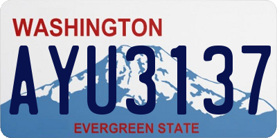 WA license plate AYU3137