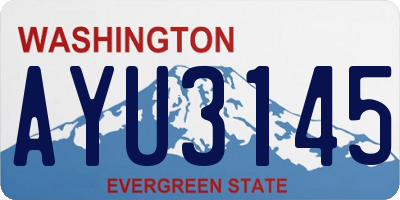 WA license plate AYU3145