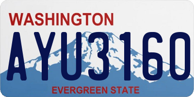 WA license plate AYU3160
