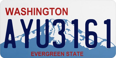 WA license plate AYU3161