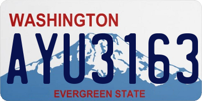 WA license plate AYU3163