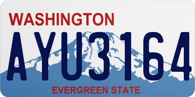 WA license plate AYU3164