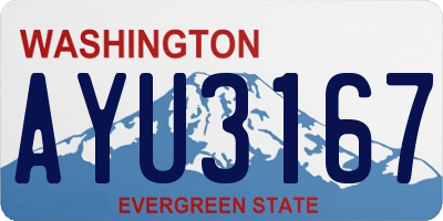 WA license plate AYU3167