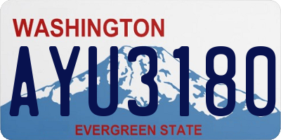 WA license plate AYU3180
